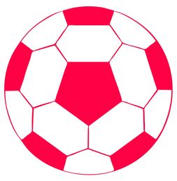 国家队青训体系实现区域联动 引导多元发展，青训队伍